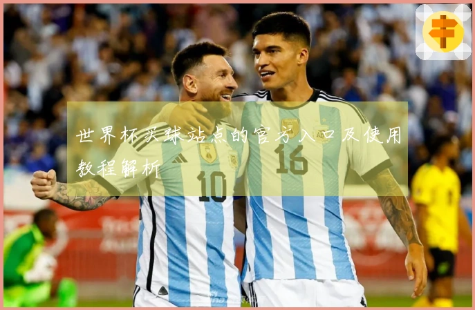世界杯买球站点的官方入口及使用教程解析