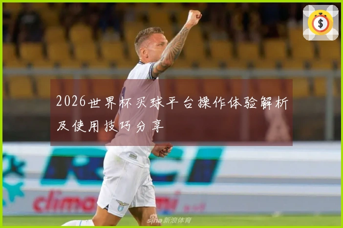2026世界杯买球平台操作体验解析及使用技巧分享