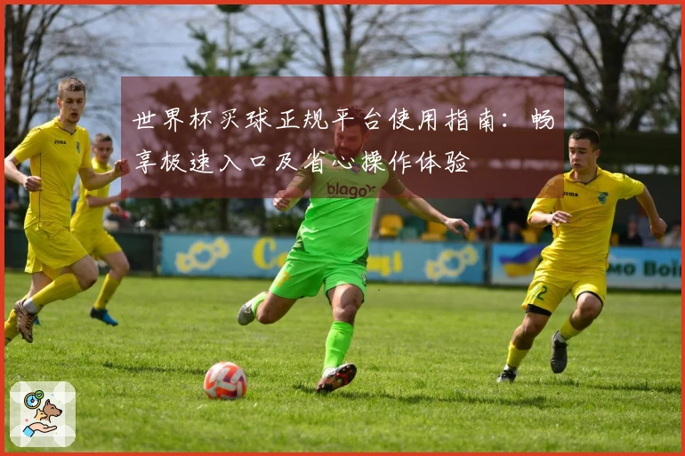 世界杯买球正规平台使用指南：畅享极速入口及省心操作体验