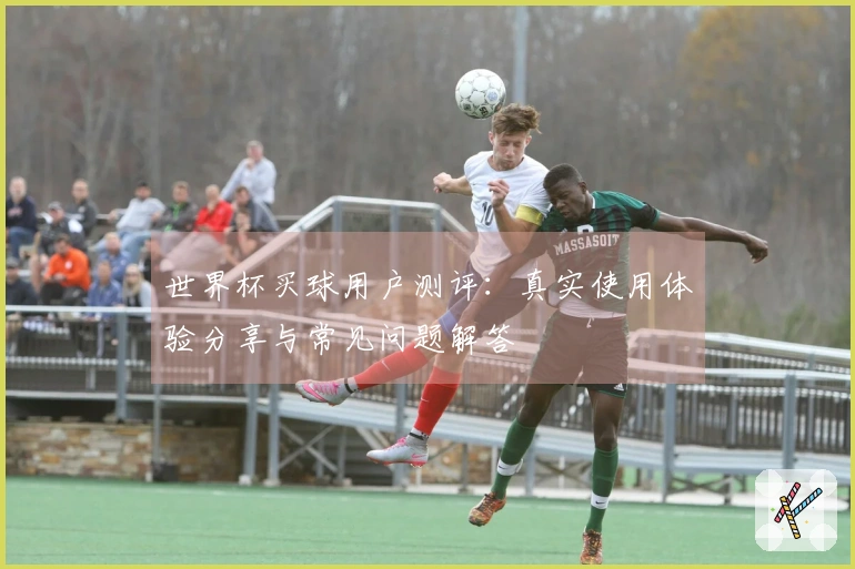 世界杯买球用户测评：真实使用体验分享与常见问题解答