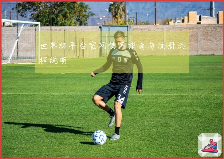 世界杯平台官网使用指南与注册流程说明