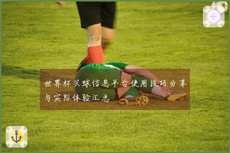 世界杯买球信息平台使用技巧分享与实际体验汇总