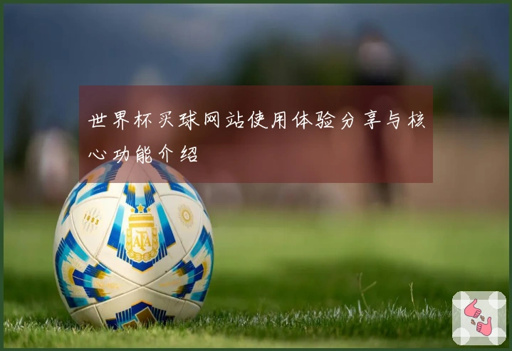 世界杯买球网站使用体验分享与核心功能介绍